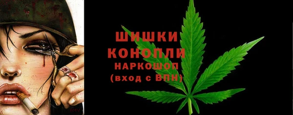 винт Рославль
