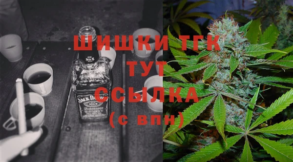 винт Рославль