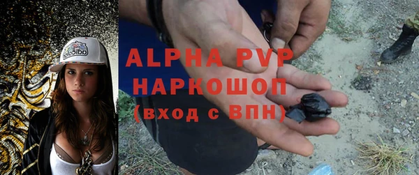 винт Рославль