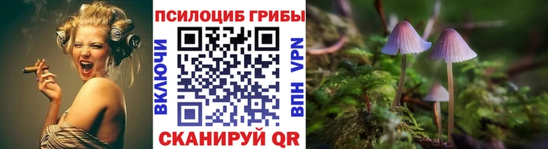 купить наркоту  Александровское  Псилоцибиновые грибы прущие грибы 